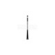 ANTENNE